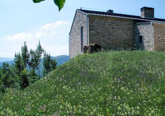 Podere del Tiglio